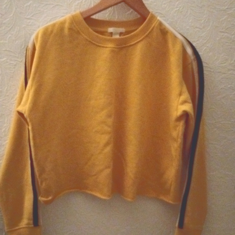 Crop top Sweatshirt